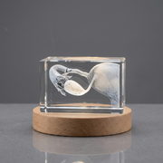 Tubes de Fallope | KeepSake à cristal gravé 3D | Cadeau de médecin