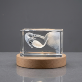 3D Engraved Crystal Fallopian Tubes Trophy Recognition Award Gift for Doctors - Custom Award From A&B Crystal Collection