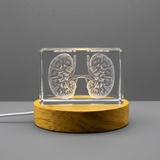 Les reins | KeepSake à cristal gravé 3D | Cadeau de médecin