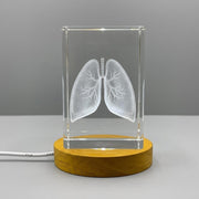 Lungs 3D Engraved Crystal Trophy Award — Made in Canada