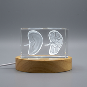 Art du foie | KeepSake à cristal gravé 3D | Cadeau de médecin