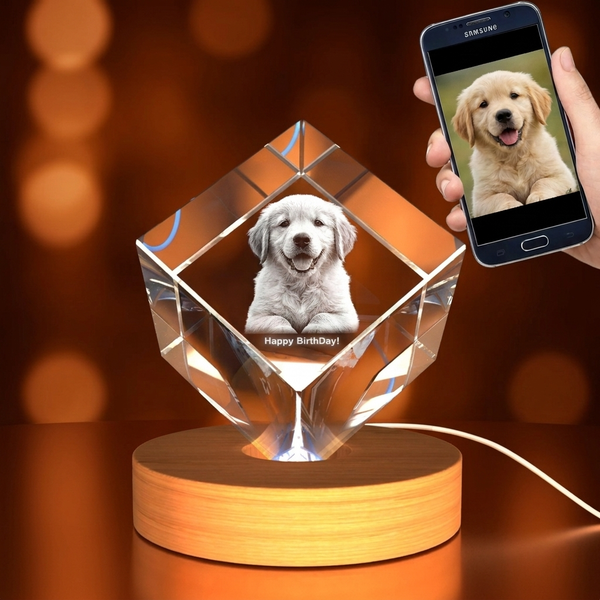 Medium Diamond 3D Pet Crystal Photo Gift - Custom Award From A&B Crystal Collection