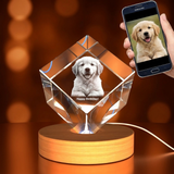 Medium Diamond 3D Pet Crystal Photo Gift - Custom Award From A&B Crystal Collection