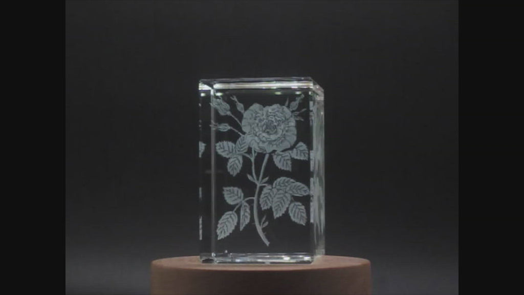 Rose 3D Engraved Crystal 