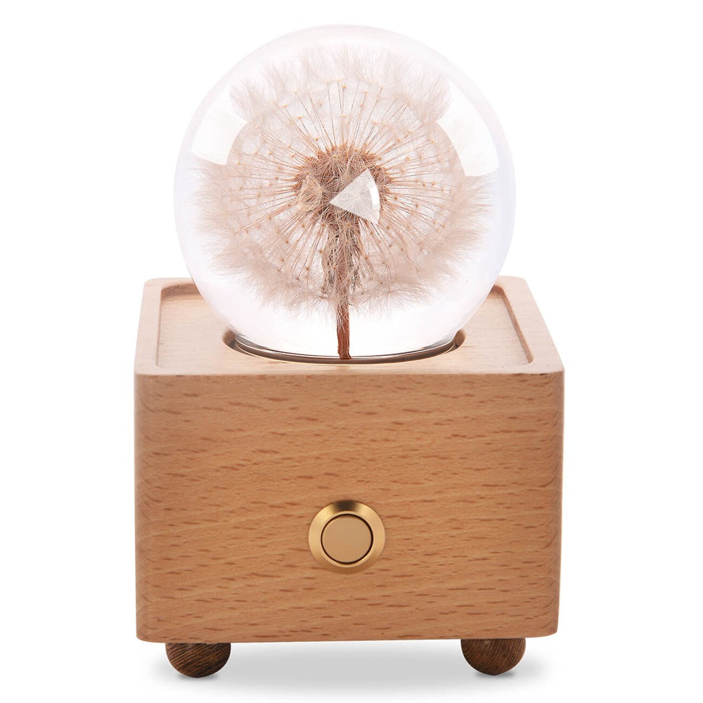 Real Preserved Flower Wireless Bluetooth Speaker, LED Night Light in Glass Dome Dandelion A&B Crystal Collection
