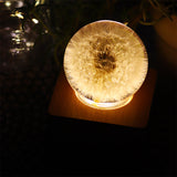 Real Preserved Flower Wireless Bluetooth Speaker, LED Night Light in Glass Dome A&B Crystal Collection