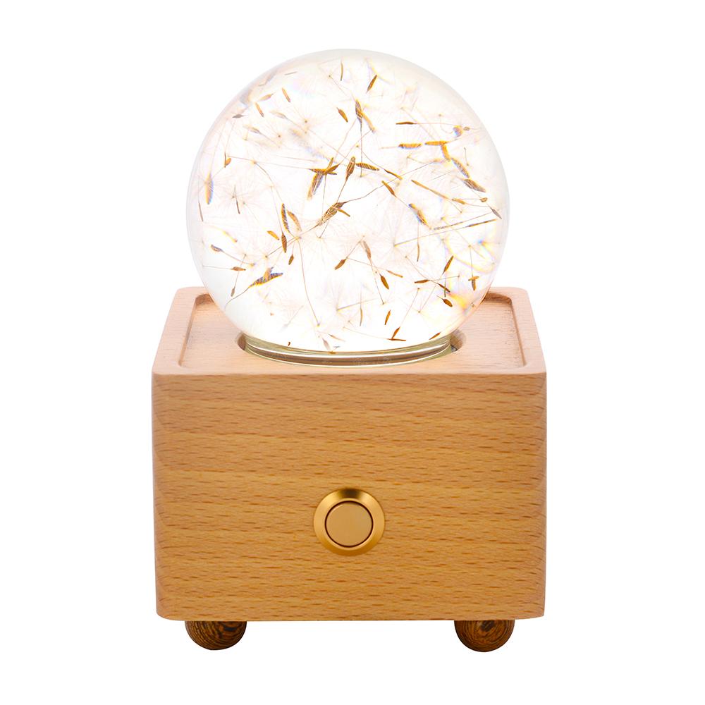 Real Preserved Flower Wireless Bluetooth Speaker, LED Night Light in Glass Dome Dandelion Seed Flower A&B Crystal Collection