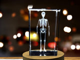 Human Skeleton 3D Engraved Crystal Novelty Decor | Doctor Gift A&B Crystal Collection