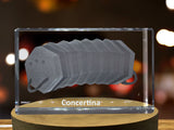 Concertina 3D Engraved Crystal | Music 3D Engraved Crystal Keepsake A&B Crystal Collection