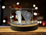 South Carolina 3D Engraved Crystal 3D Engraved Crystal Keepsake/Gift/Decor/Collectible/Souvenir