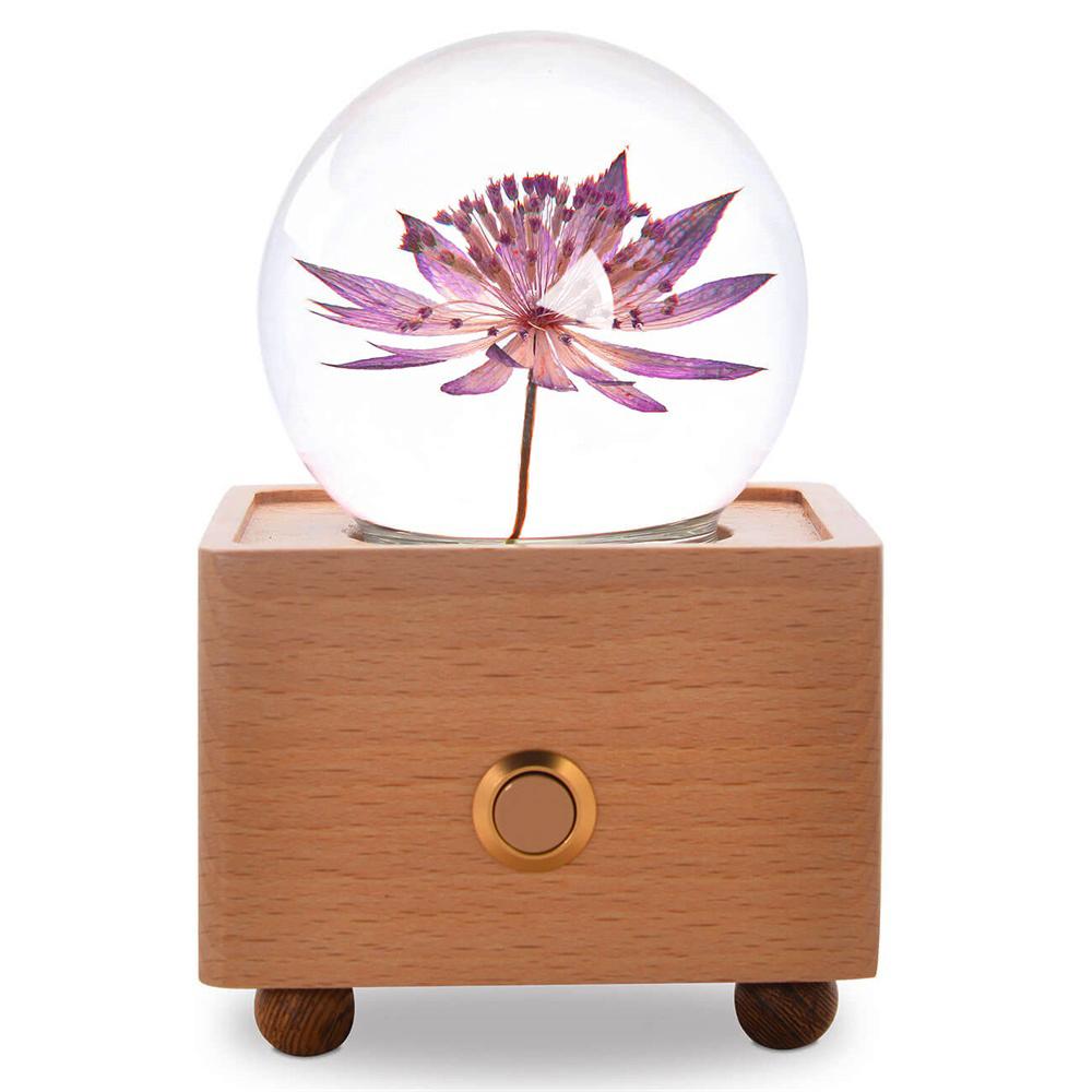 Real Preserved Flower Wireless Bluetooth Speaker, LED Night Light in Glass Dome Great Masterwort A&B Crystal Collection