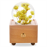 Real Preserved Flower Wireless Bluetooth Speaker, LED Night Light in Glass Dome Little Crysantium A&B Crystal Collection