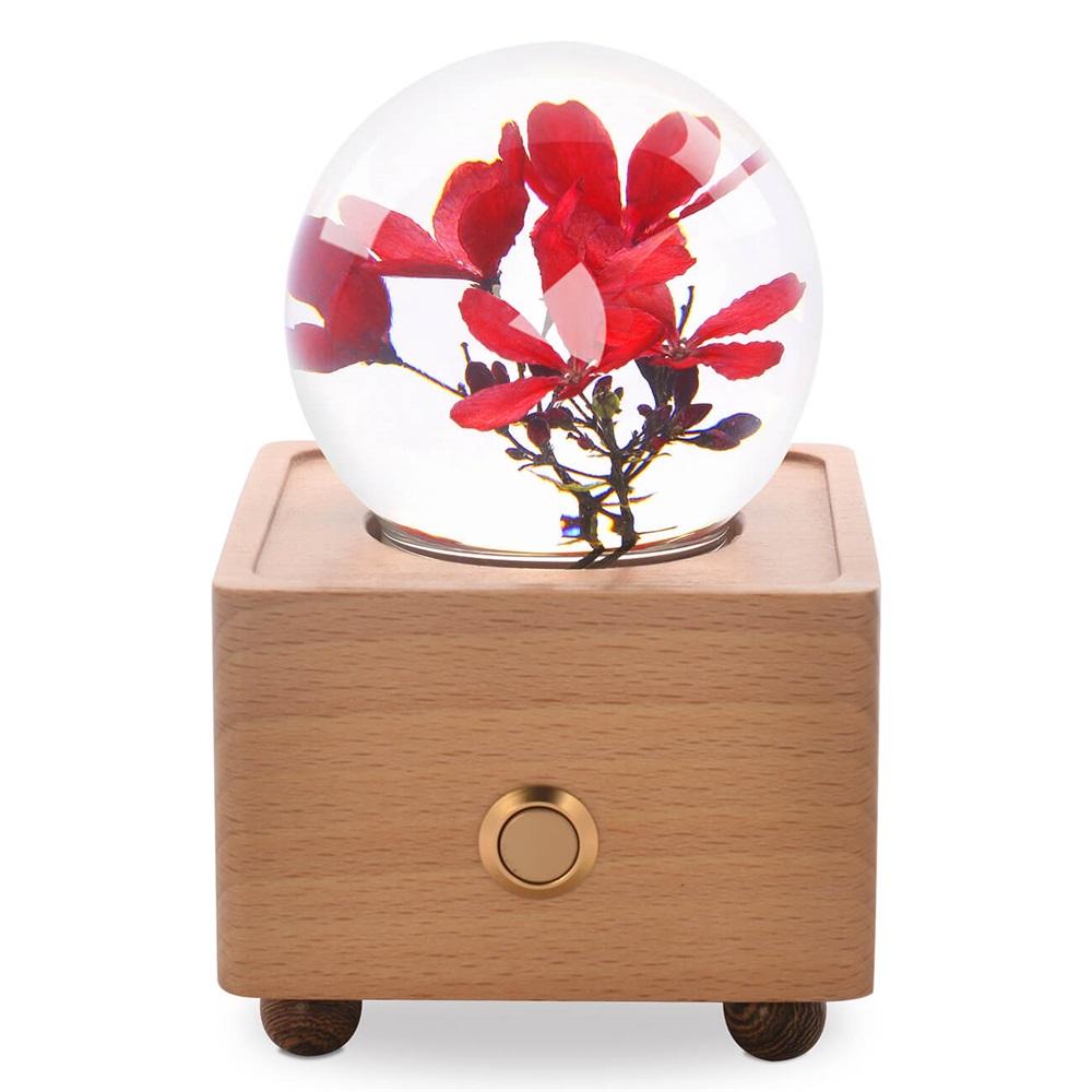 Real Preserved Flower Wireless Bluetooth Speaker, LED Night Light in Glass Dome Peregrina A&B Crystal Collection
