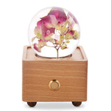 Real Preserved Flower Wireless Bluetooth Speaker, LED Night Light in Glass Dome Red Hydrangea A&B Crystal Collection