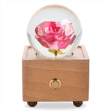 Real Preserved Flower Wireless Bluetooth Speaker, LED Night Light in Glass Dome Two Tune Rose A&B Crystal Collection