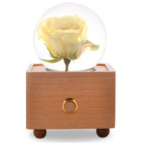 Real Preserved Flower Wireless Bluetooth Speaker, LED Night Light in Glass Dome Yellow Rose A&B Crystal Collection